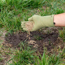 Lesco Double Eagle Rye Grass Seed-4