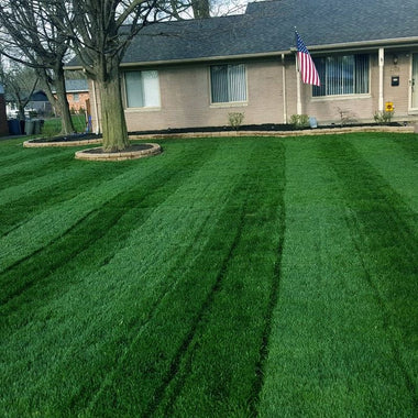 LESCO 46-0-0 Sprayable Urea – High-Nitrogen Turf Fertilizer - 0