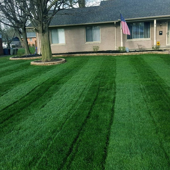 LESCO 46-0-0 Sprayable Urea – High-Nitrogen Turf Fertilizer