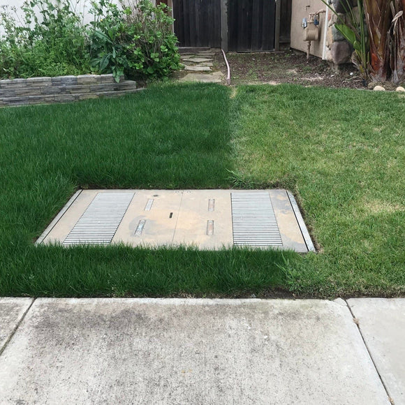 LESCO Estate Eagle Plus Grass Seed