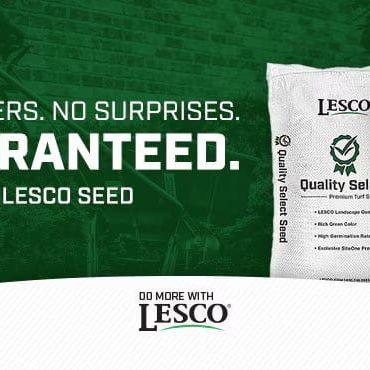 Lesco All Pro Transition Tall Fescue Grass Seed