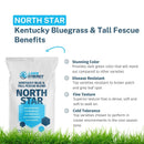 North Star Grass Seed | Premium Kentucky Bluegrass & Tall Fescue Blend-2