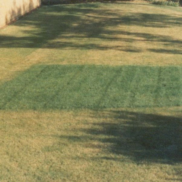 Hydretain ES Plus II