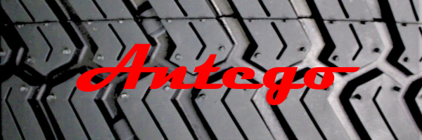 Pink and green floral spring email header 1