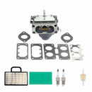 Hipa Carburetor Kit For BS 799230 699709 499804 499809 Toro 74590 2005 2004 2003 2002 2001 2000 Lawn Tractor 4-Cycle Engine-1