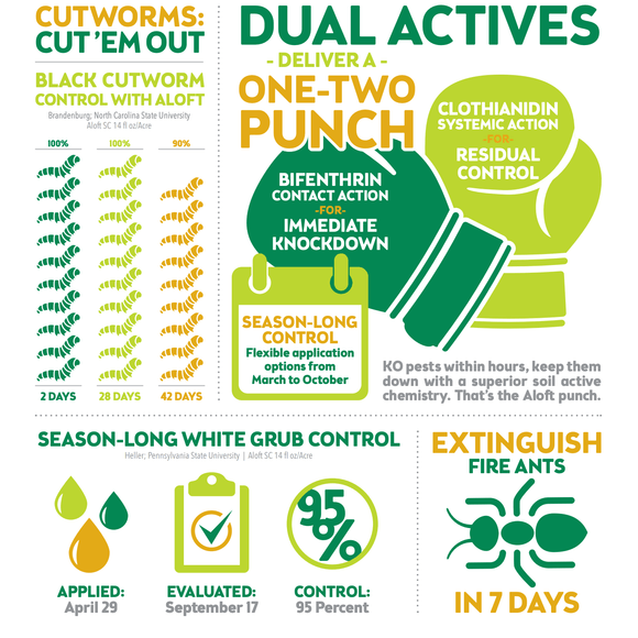 Aloft GC Insecticide