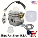 Hipa 12520020560 12520020562 Carburetor Kit For Echo PB-2100 Handheld Power Blower-1