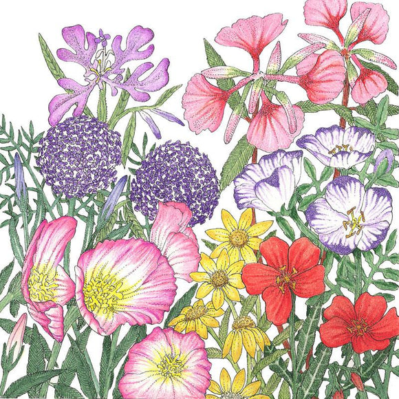 California Native Wildflower Mix (lb)