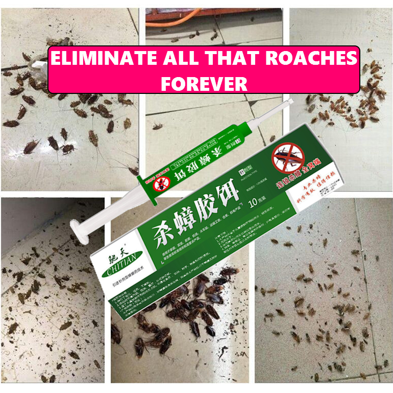 Cockroach Pest Control Product for Effective Extermination - 0