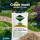 Crown Jewel Elite Tall Fescue Grass Seed - 50 lbs.-2