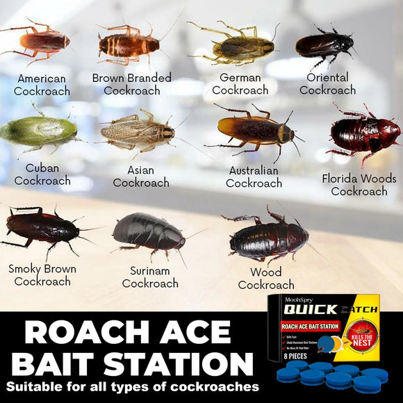 Cockroach Killer Star Bait Station Pest Control USA Warehouse 🇺🇸