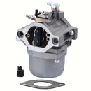 Hipa Carburetor Kit For LMT 5-4993 734463213805DN Engine-6