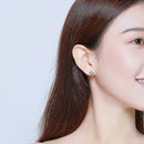 S925 Sterling Silver Earrings for Women-6