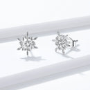 925 Sterling Silver Earrings for Women with Cubic Zirconia-3