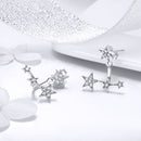 925 Sterling Silver Pavé Setting Earrings for Women-3