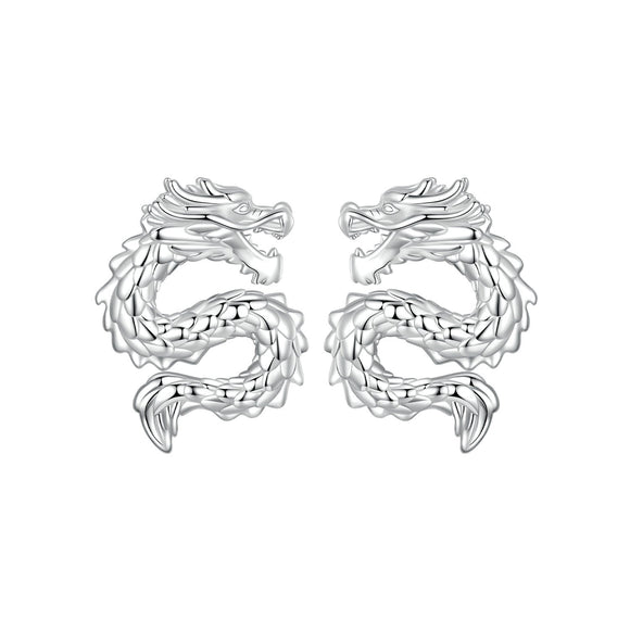 925 Sterling Silver Plated White Gold Earrings