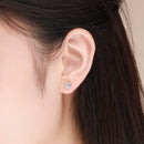 925 Sterling Silver Earrings for Women-7
