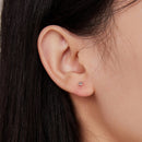 999 Platinum-Plated S925 Silver Earrings-7