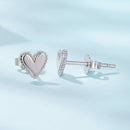 925 Sterling Silver Earrings for Women-4
