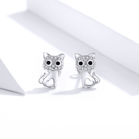S925 Sterling Silver Earrings for Women