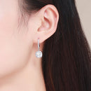 925 Sterling Silver Plated Gold Pavé Setting CZ Earrings for Women-6