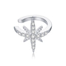 925 Sterling Silver Plated Platinum Pavé Setting CZ Earrings for Women-1
