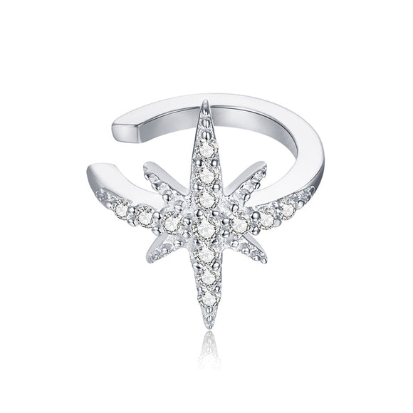 925 Sterling Silver Plated Platinum Pavé Setting CZ Earrings for Women