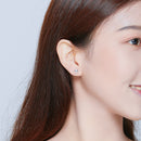 925 Sterling Silver Earrings for Women-7