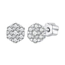 925 Sterling Silver Moissanite 0.15ct/0.027ct Earrings for Women-1