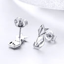 925 Sterling Silver Earrings for Women-5