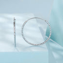 925 Sterling Silver Plated White Gold Earrings for Women-2