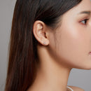 925 Sterling Silver & Plated Gold CZ Earrings for Women-8