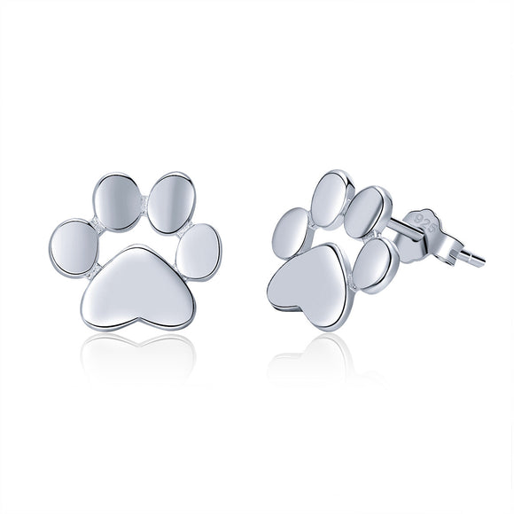 925 Sterling Silver Platinum Plated Earrings for Women