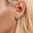 925 Sterling Silver Earrings for Women-5