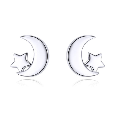 S925 Sterling Silver Earrings for Women