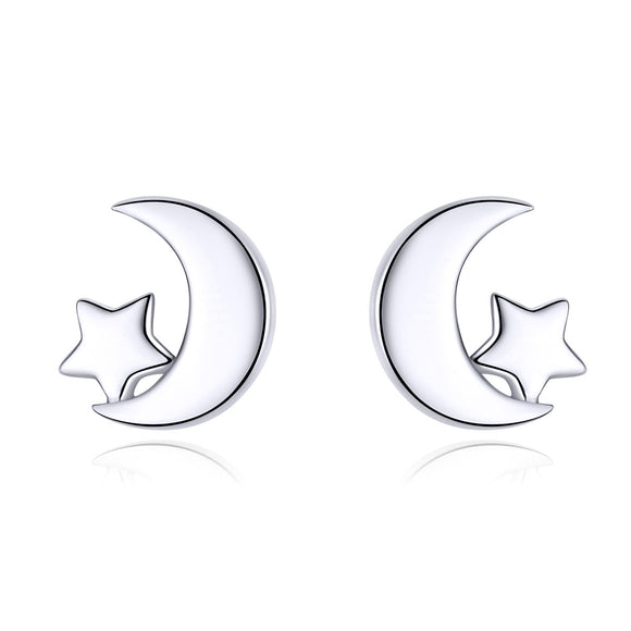 S925 Sterling Silver Earrings for Women
