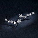 925 Sterling Silver Earrings with Plated Platinum and Pavé Setting CZ-6