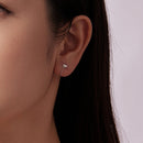 925 Silver White Gold Plated 1.4cm Brass Earrings for Women-6