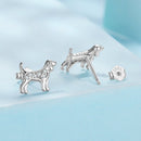 925 Sterling Silver Pavé Set CZ White Gold Plated Earrings for Women-2