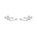 925 Sterling Silver & Brass White Gold Plated Earrings with CZ for Women-1