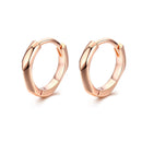 S925 Sterling Silver Plated Rose Gold Earrings-1