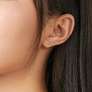 925 Sterling Silver & Plated Platinum Earrings with Pavé Setting CZ for Women-5