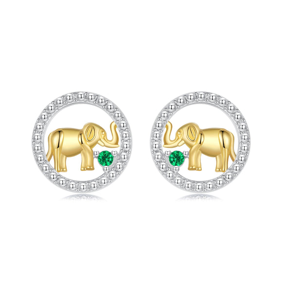 925 Sterling Silver Earrings with CZ in White Gold Plated for Women