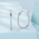 925 Sterling Silver Hoop Earrings for Women-2