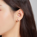 925 Sterling Silver Gold Plated Pavé Setting CZ Earrings for Women-2