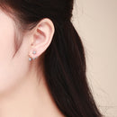 925 Sterling Silver Pavé Setting Earrings for Women-6