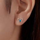 925 Sterling Silver White Gold Plated Earrings with Synthetic Turquoise and CZ-5