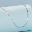 925 Sterling Silver + Plated White Gold 40cm Necklace-4