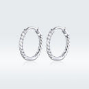 925 Sterling Silver Earrings for Women-4