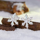 925 Sterling Silver Earrings with Plated White Gold and CZ-2
